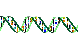 ADN Clases Particulares