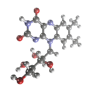 Clases de bioquimica